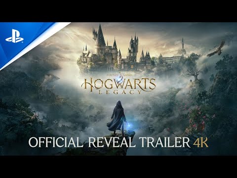 Dziedzictwo Hogwartu (Hogwarts Legacy) PS5